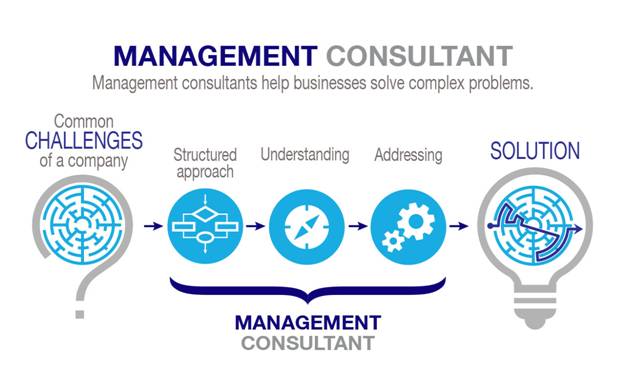 Management consultant description